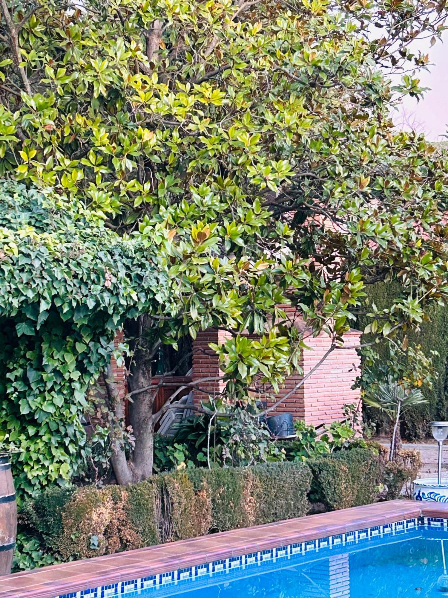 Casa Los Rosales Alfacar Eksteriør billede