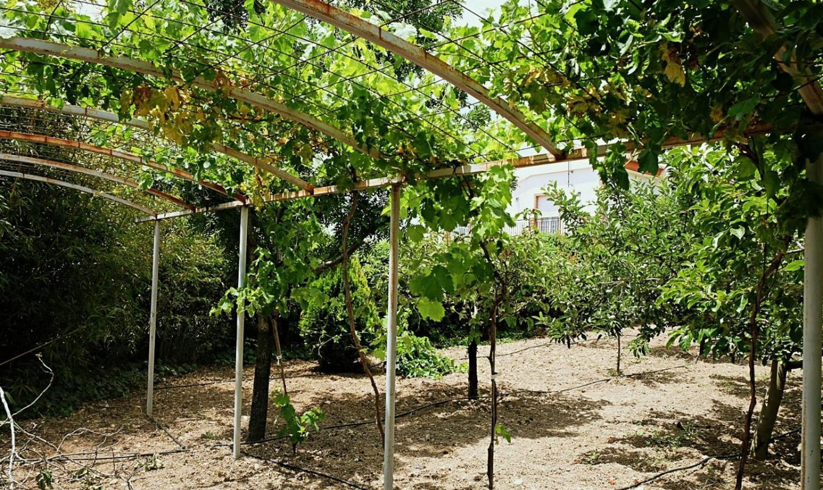 Casa Los Rosales Alfacar Eksteriør billede