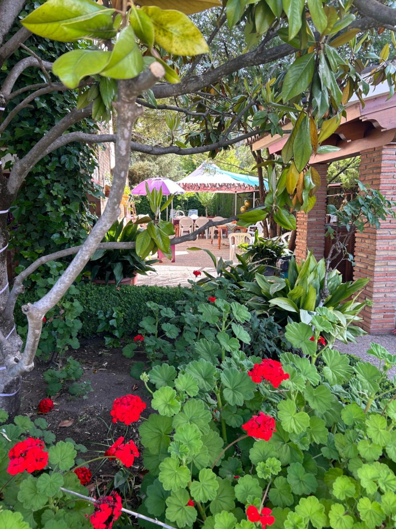 Casa Los Rosales Alfacar Eksteriør billede