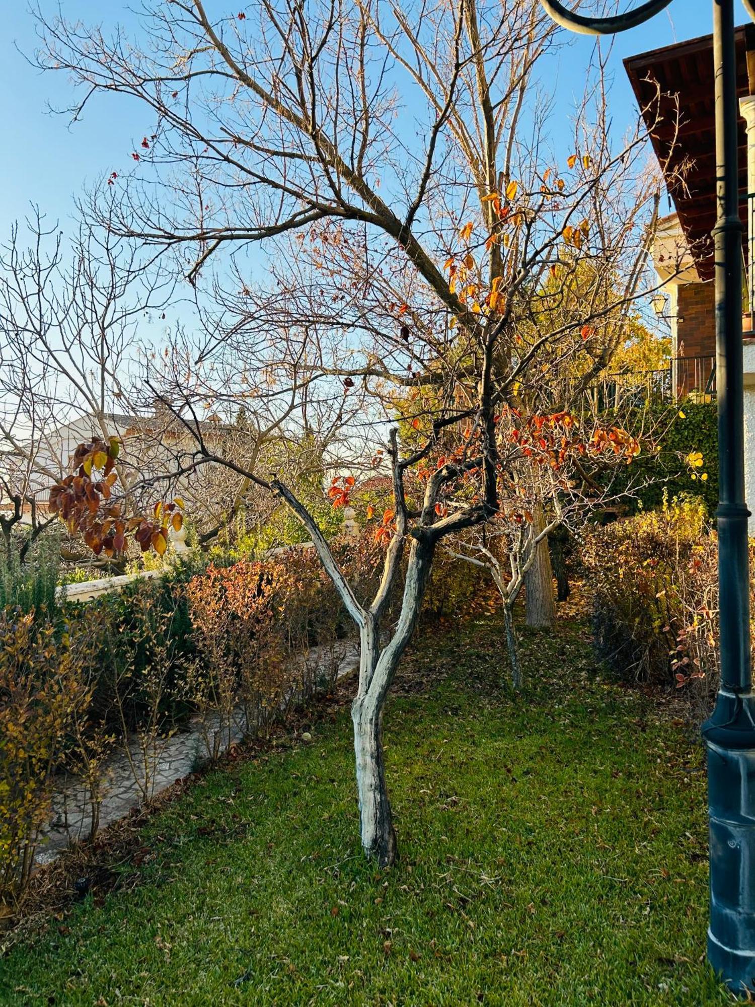 Casa Los Rosales Alfacar Eksteriør billede